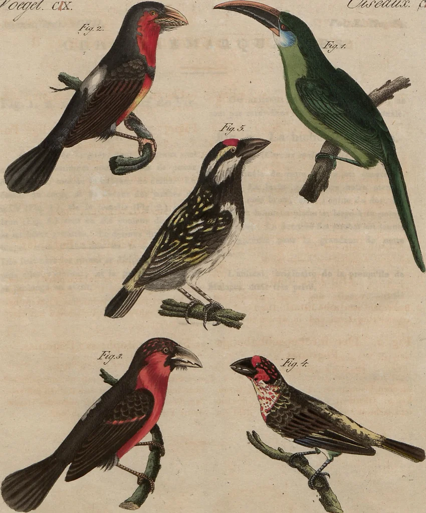 An illustration from (Band 10), 1821, leaf 186