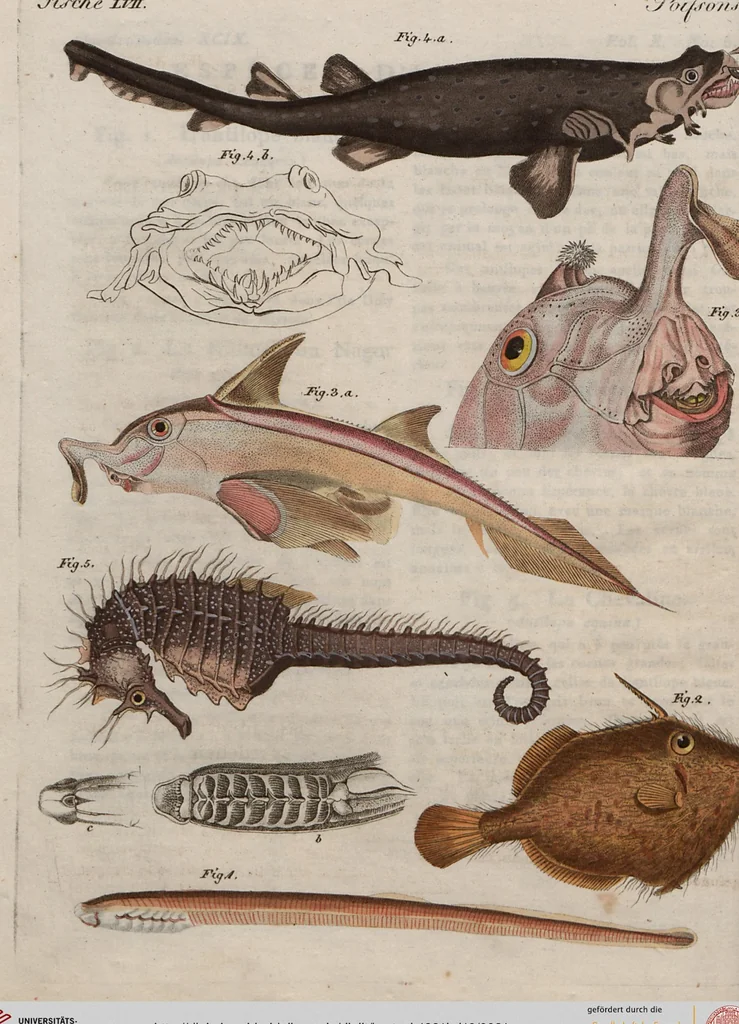 An illustration from (Band 10), 1821, leaf 21