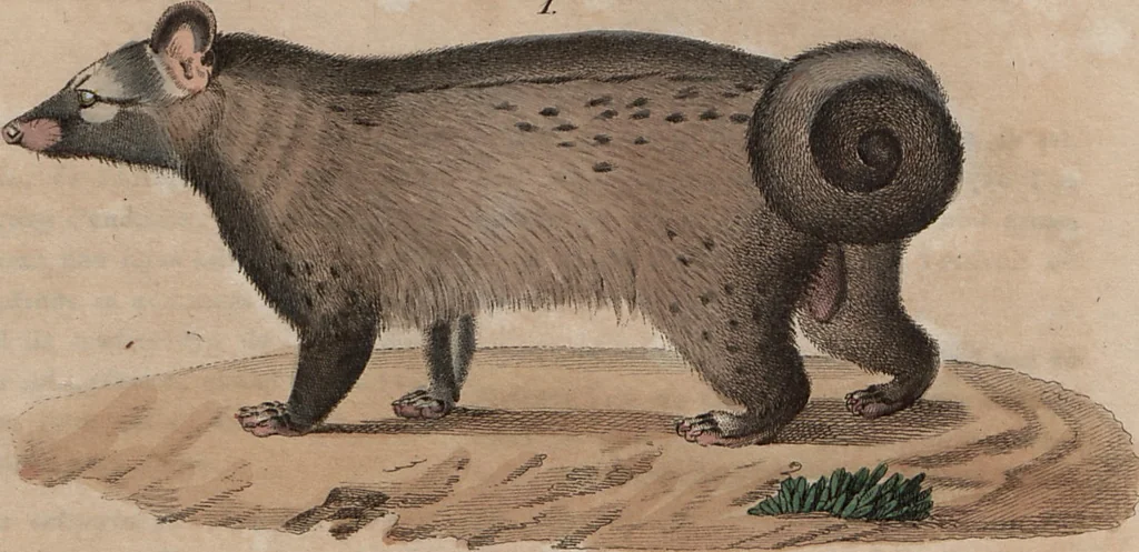 An illustration from (Band 10), 1821, leaf 226