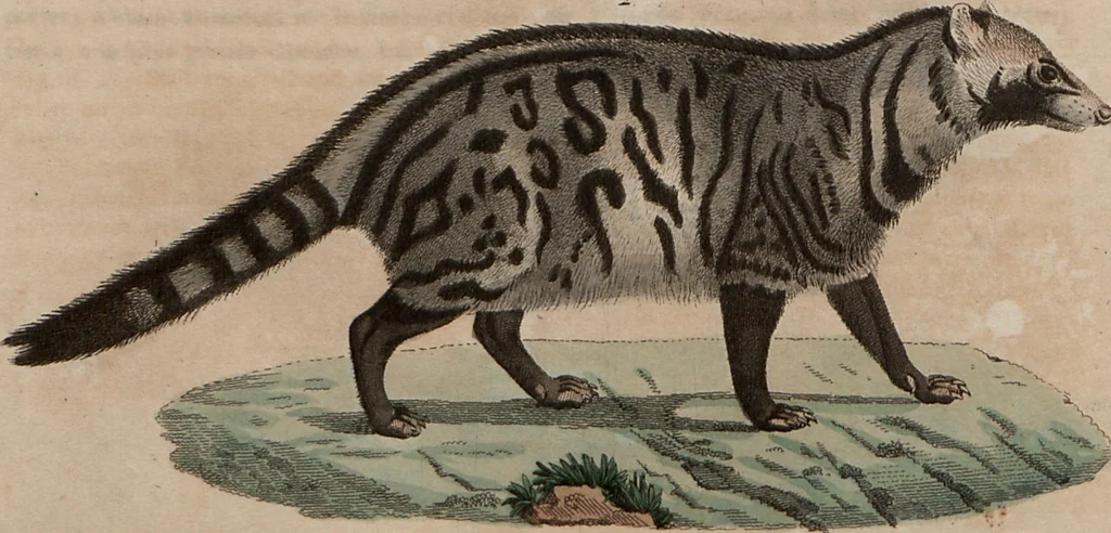 An illustration from (Band 10), 1821, leaf 226