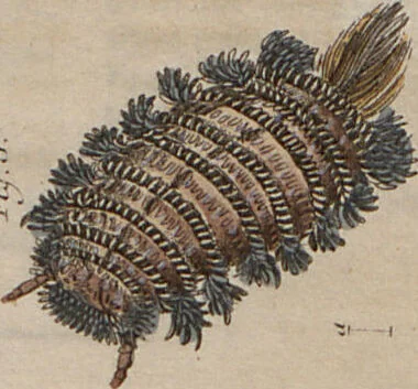 An illustration from (Band 10), 1821, leaf 235