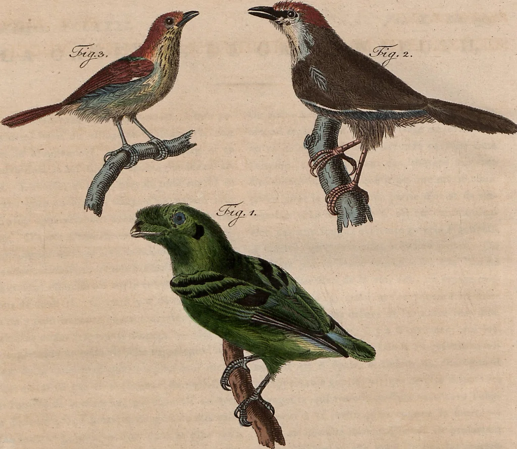 An illustration from (Band 10), 1821, leaf 271