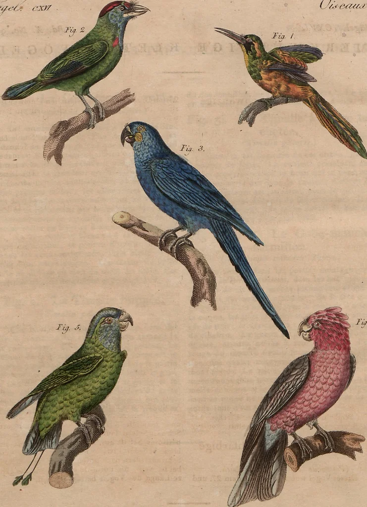 An illustration from (Band 10), 1821, leaf 274