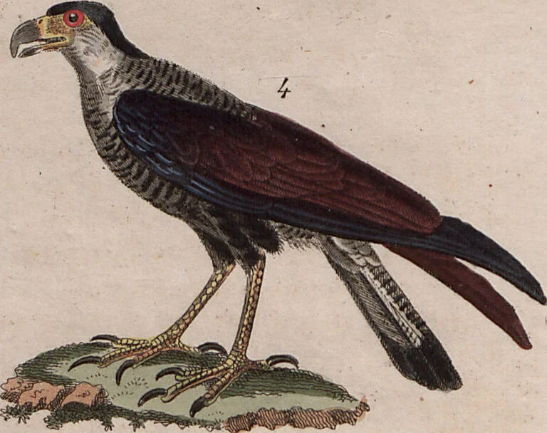 An illustration from (Band 10), 1821, leaf 3