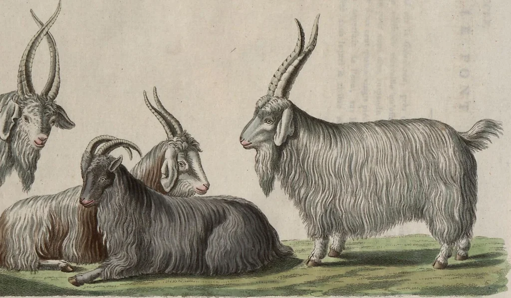 An illustration from (Band 10), 1821, leaf 33