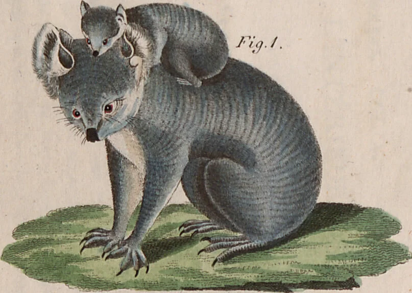 An illustration from (Band 10), 1821, leaf 63