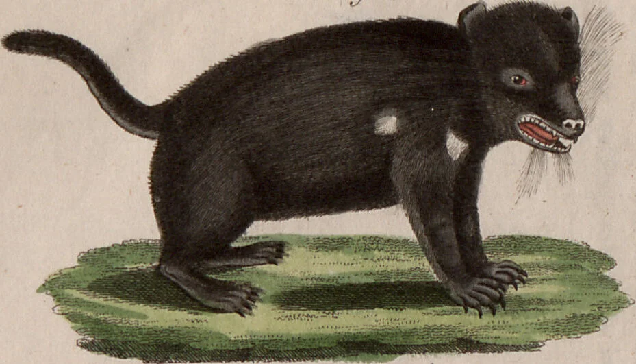 An illustration from (Band 10), 1821, leaf 63