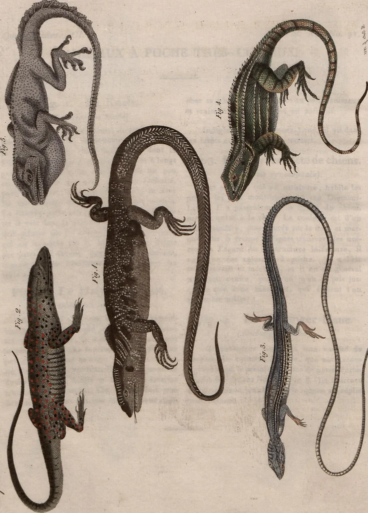 An illustration from (Band 10), 1821, leaf 66