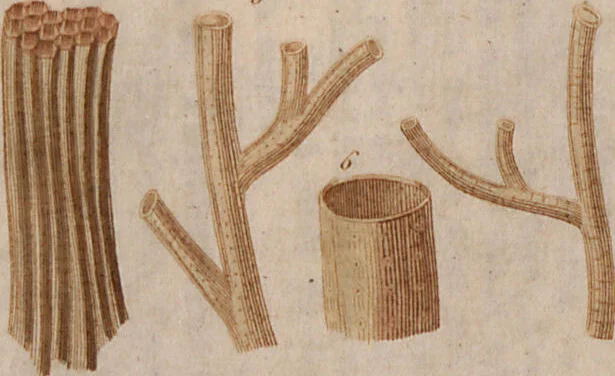 An illustration from (Band 10), 1821, leaf 69