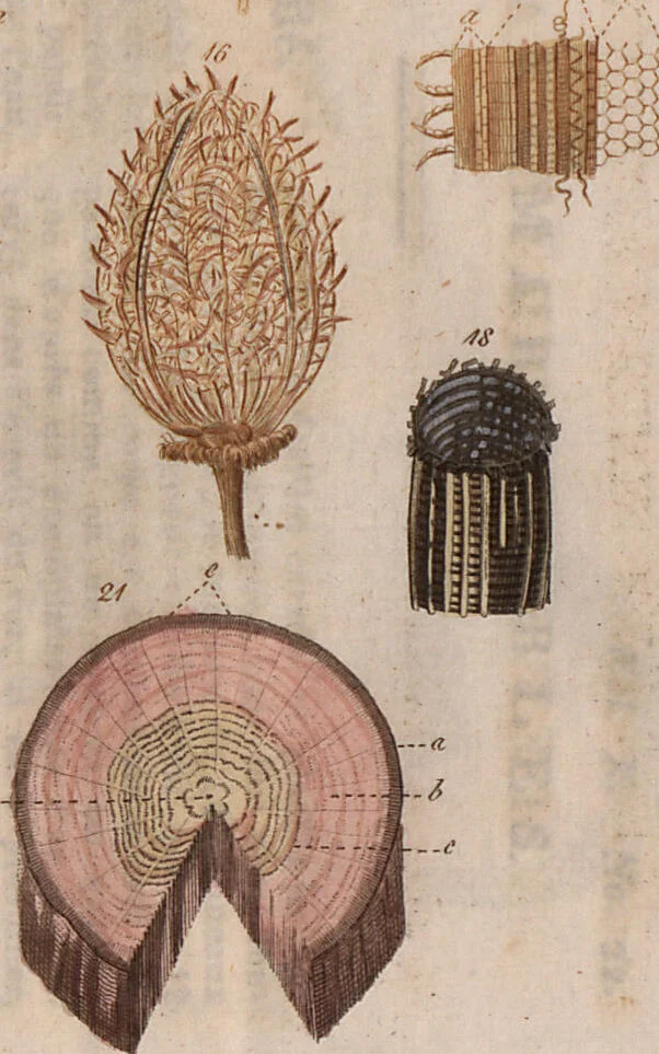 An illustration from (Band 10), 1821, leaf 69