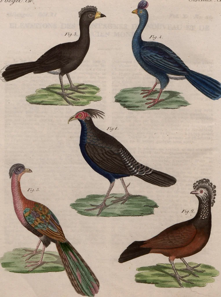 An illustration from (Band 10), 1821, leaf 78