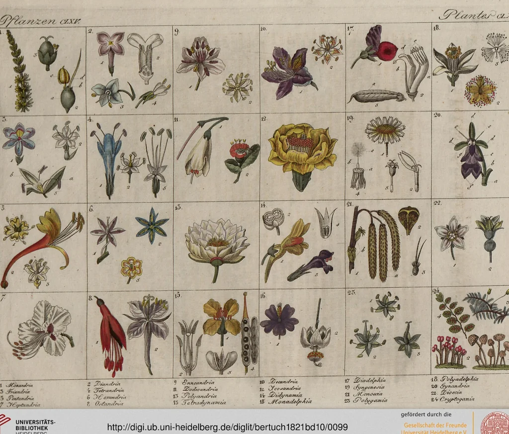 An illustration from (Band 10), 1821, leaf 99