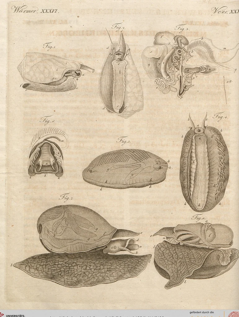 An illustration from (Band 11), 1824, leaf 109