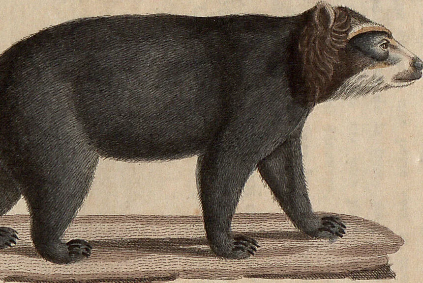 An illustration from (Band 11), 1824, leaf 136