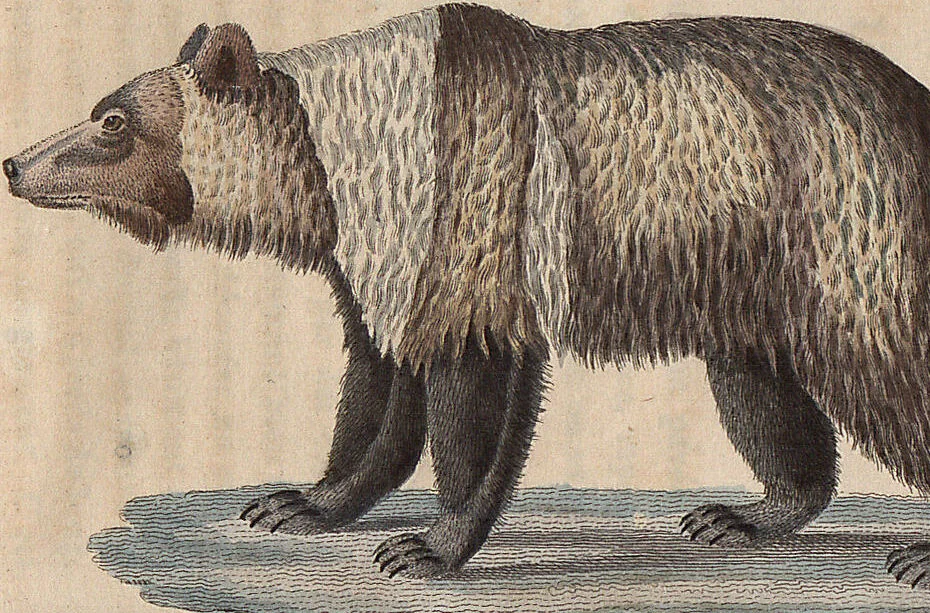 An illustration from (Band 11), 1824, leaf 136