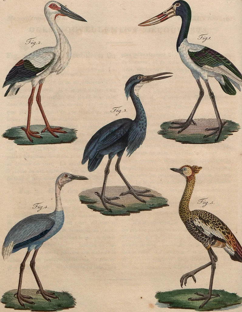An illustration from (Band 11), 1824, leaf 139