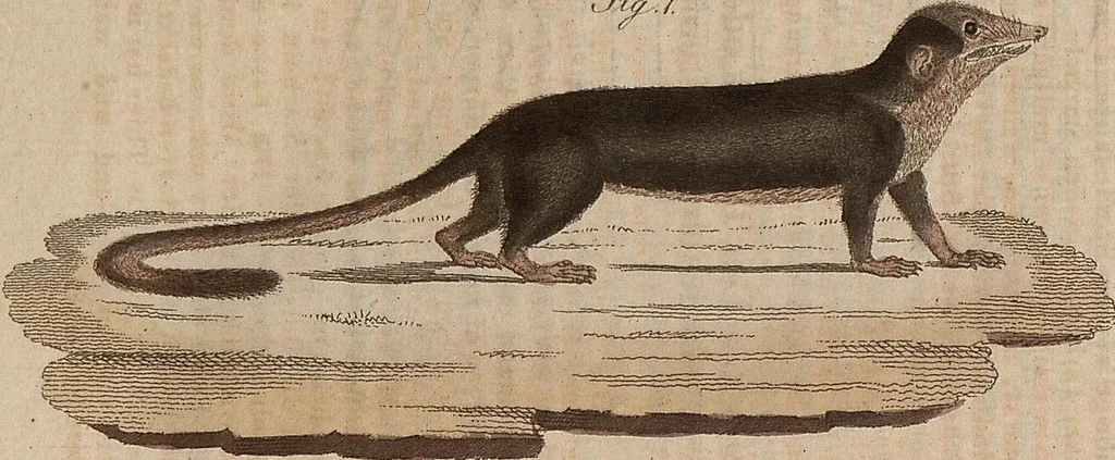 An illustration from (Band 11), 1824, leaf 151