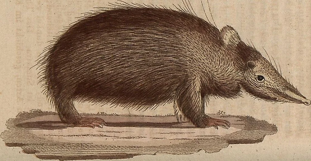 An illustration from (Band 11), 1824, leaf 151