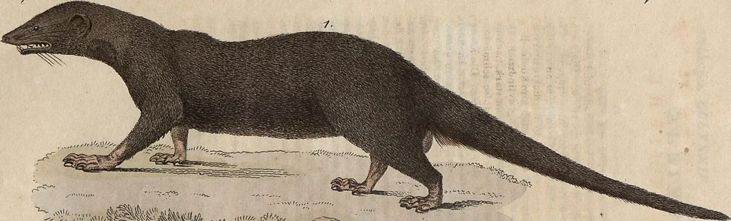 An illustration from (Band 11), 1824, leaf 18
