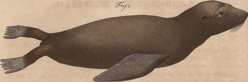 An illustration from (Band 11), 1824, leaf 181
