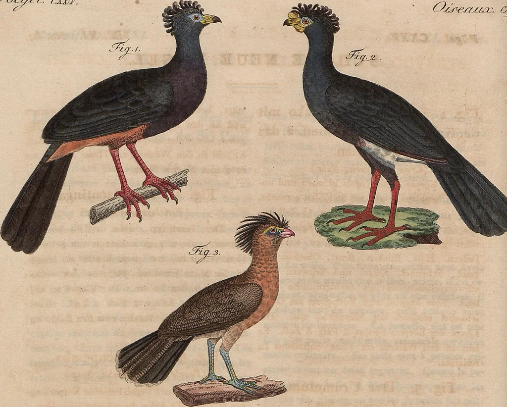 An illustration from (Band 11), 1824, leaf 184