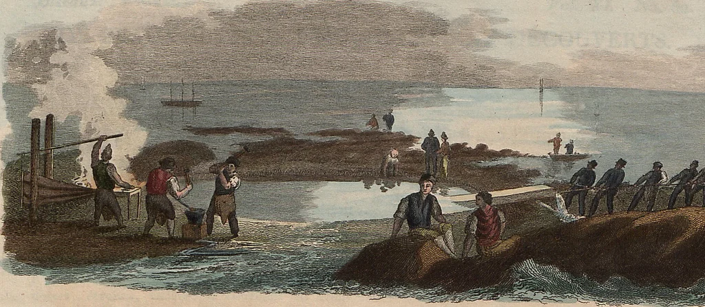 An illustration from (Band 11), 1824, leaf 187