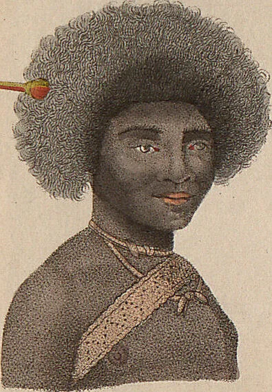 An illustration from (Band 11), 1824, leaf 194