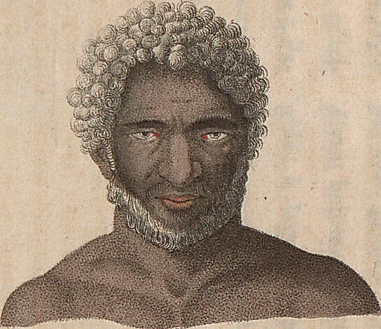 An illustration from (Band 11), 1824, leaf 194