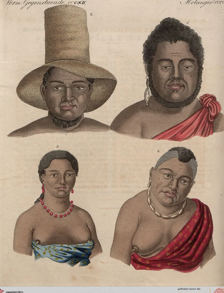An illustration from (Band 11), 1824, leaf 209