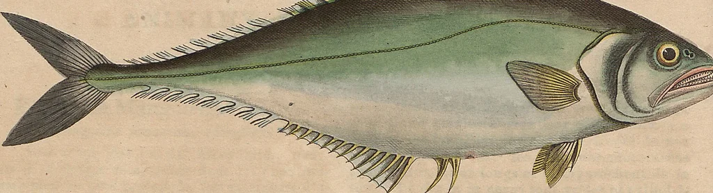 An illustration from (Band 11), 1824, leaf 21