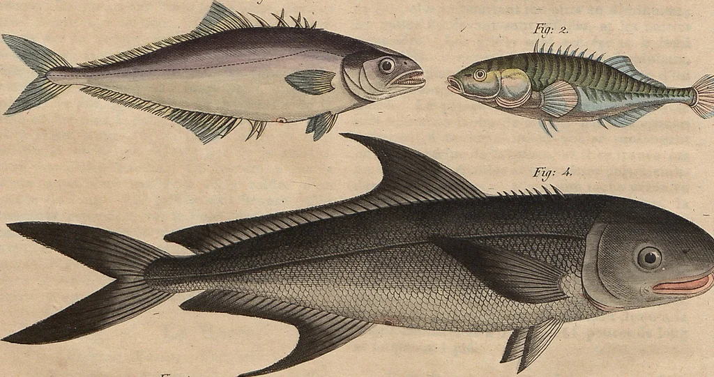 An illustration from (Band 11), 1824, leaf 21