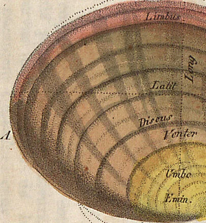 An illustration from (Band 11), 1824, leaf 245