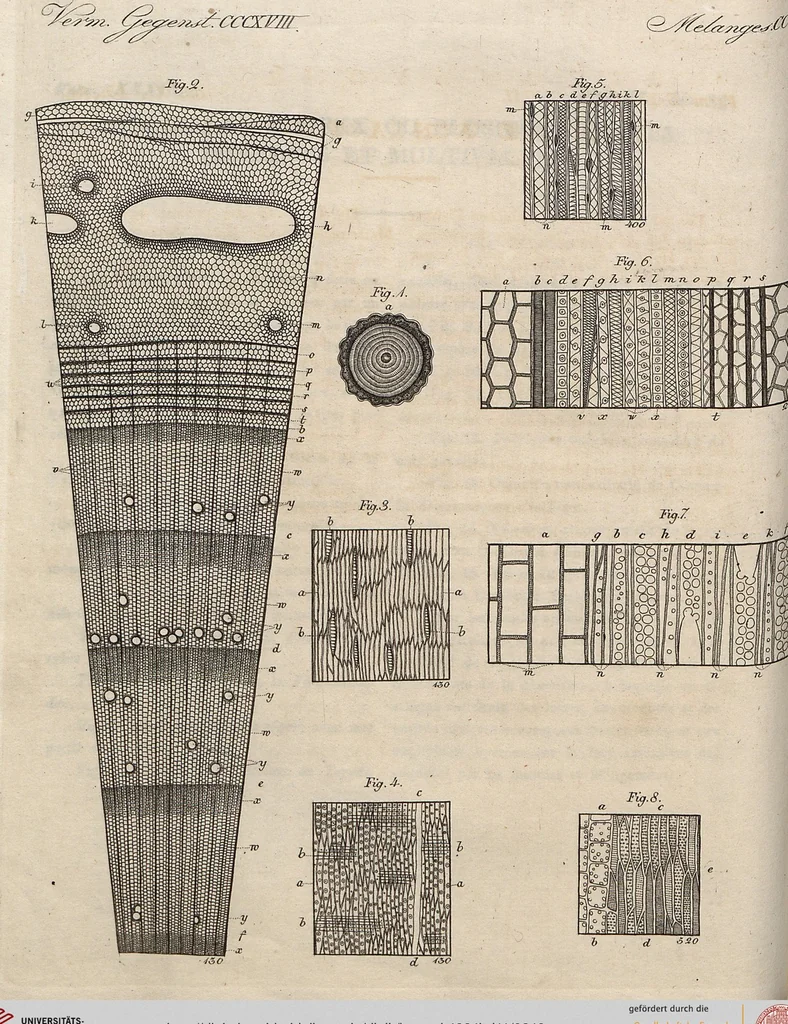 An illustration from (Band 11), 1824, leaf 248