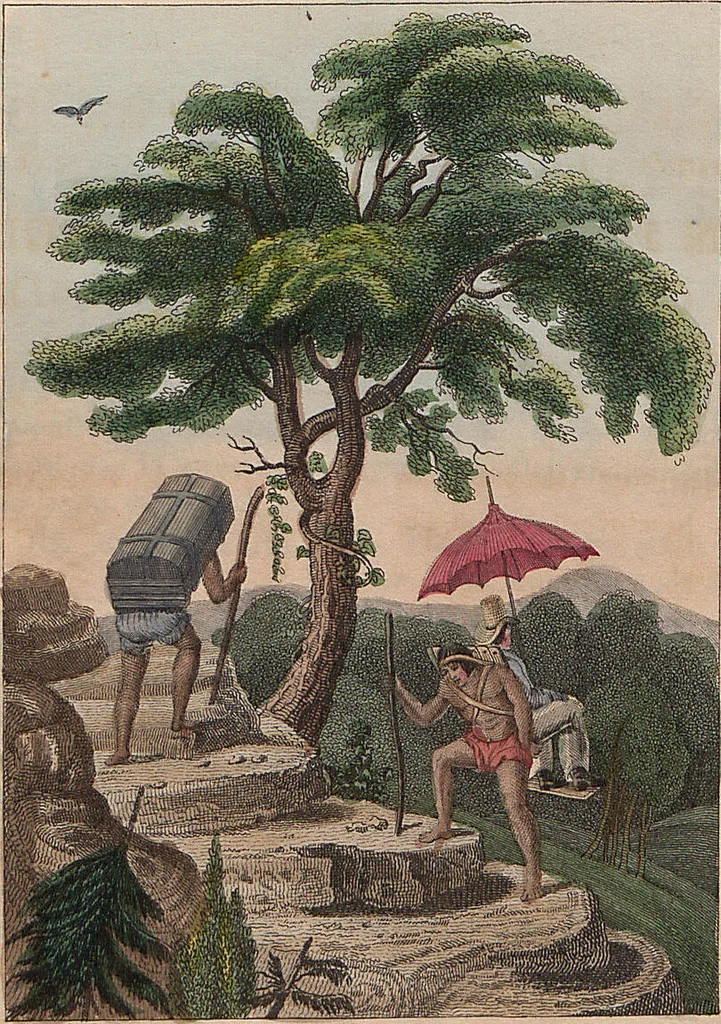 An illustration from (Band 11), 1824, leaf 251