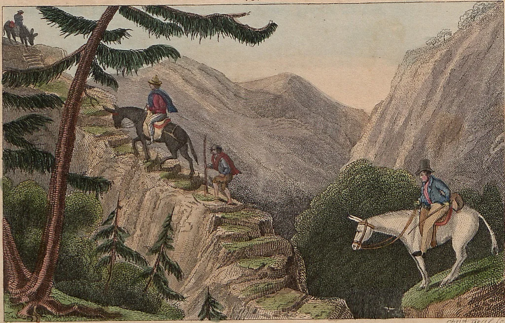 An illustration from (Band 11), 1824, leaf 251