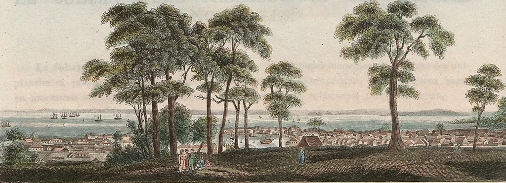 An illustration from (Band 11), 1824, leaf 291