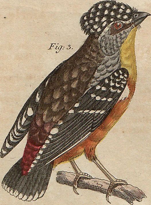 An illustration from (Band 11), 1824, leaf 3