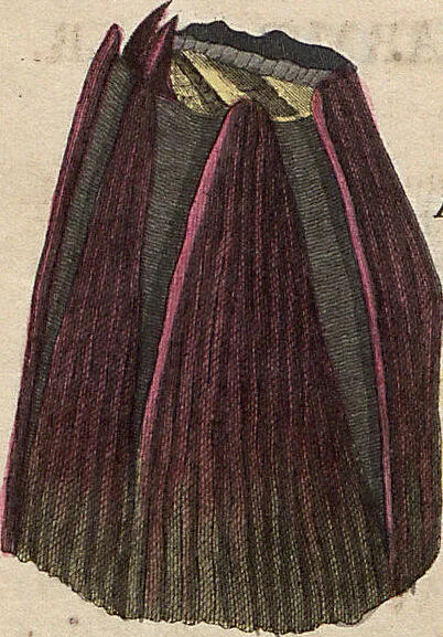An illustration from (Band 11), 1824, leaf 34