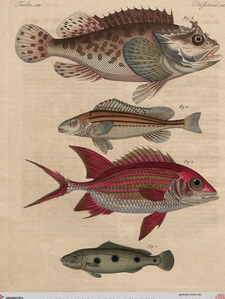 An illustration from (Band 11), 1824, leaf 6