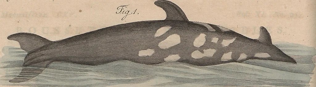 An illustration from (Band 11), 1824, leaf 64