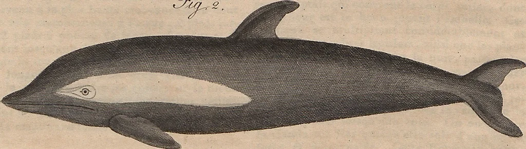 An illustration from (Band 11), 1824, leaf 64