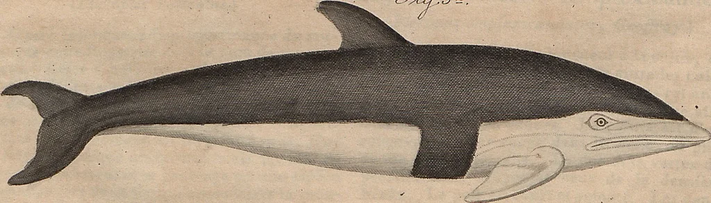 An illustration from (Band 11), 1824, leaf 64