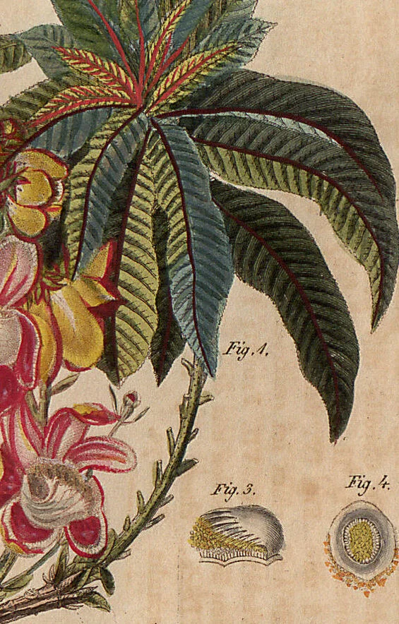 An illustration from (Band 11), 1824, leaf 82