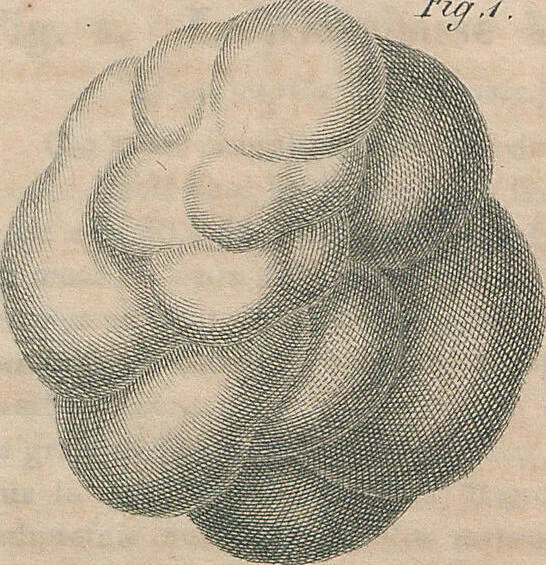 An illustration from (Band 11), 1824, leaf 85