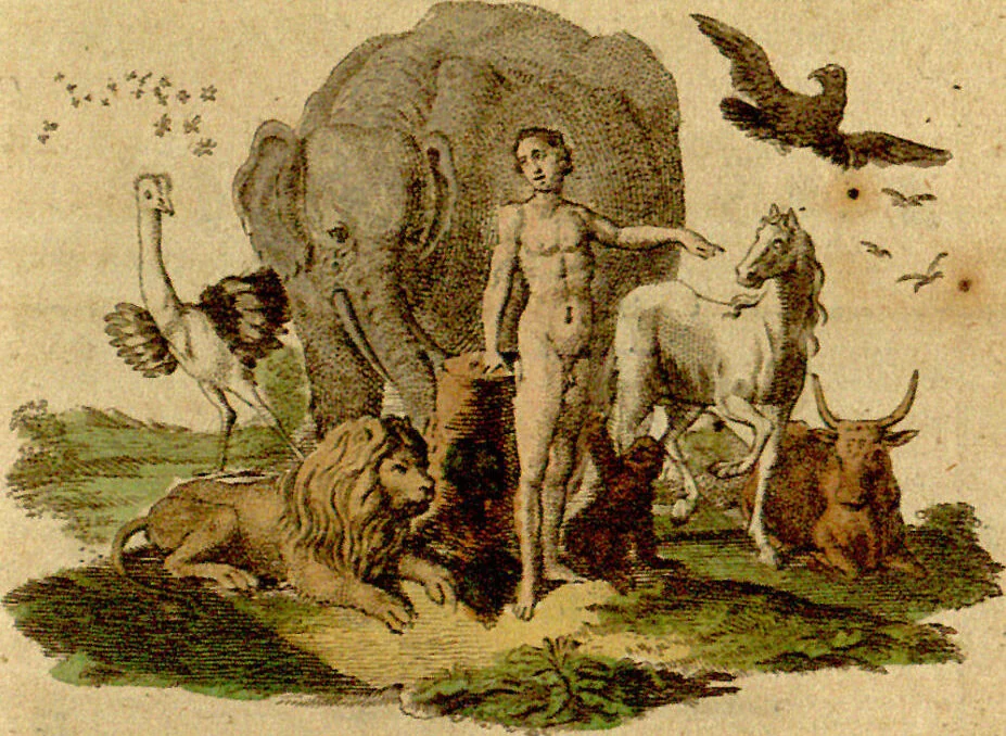 An illustration from (Band 2), 1771, leaf 1
