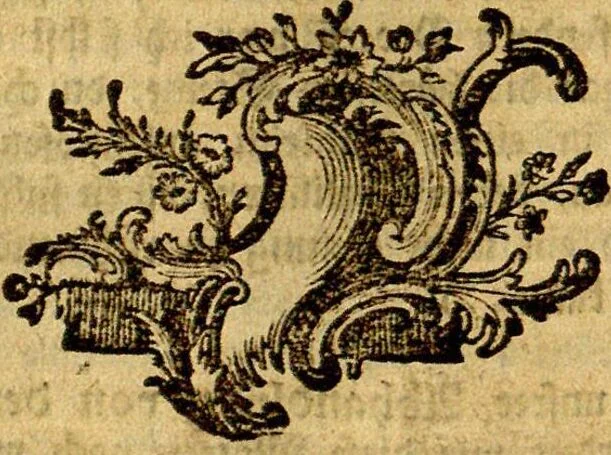 An illustration from (Band 2), 1771, leaf 45