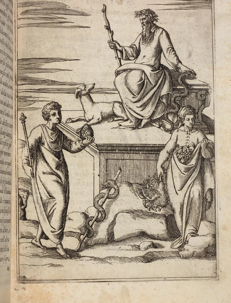 An illustration from Le Imagini De I Dei De Gli Antichi Nelle Qvali Si Contengono gl'Idoli, Riti, ceremonie, & altre cose appartenenti alla Religione de gli Antichi, 1571, leaf 119