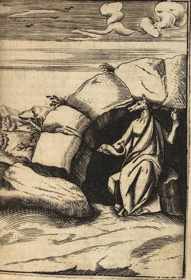 An illustration from Le imagini de i dei degli antichi nelle quali si contengono gl'idoli, i riti, le cerimonie, et altre cose appartenenti alla religione degli antichi ; con la loro espositione ; et in questa ultima impressione non solamente ridotte in forma più commoda, ma arricchite ancora di molte postille, et ... di più di 40 figure in rame …, 1603, leaf 255