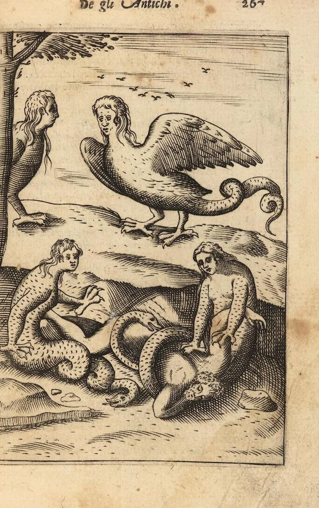 An illustration from Le imagini de i dei degli antichi nelle quali si contengono gl'idoli, i riti, le cerimonie, et altre cose appartenenti alla religione degli antichi ; con la loro espositione ; et in questa ultima impressione non solamente ridotte in forma più commoda, ma arricchite ancora di molte postille, et ... di più di 40 figure in rame …, 1603, leaf 311