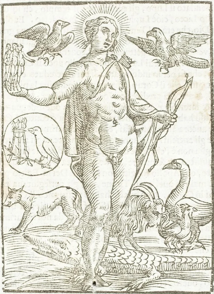 An illustration from Seconda Novissima Editione Delle Imagini De Gli Dei Delli Antichi Di Vicenzo Cartari Reggiano, 1626, leaf 91